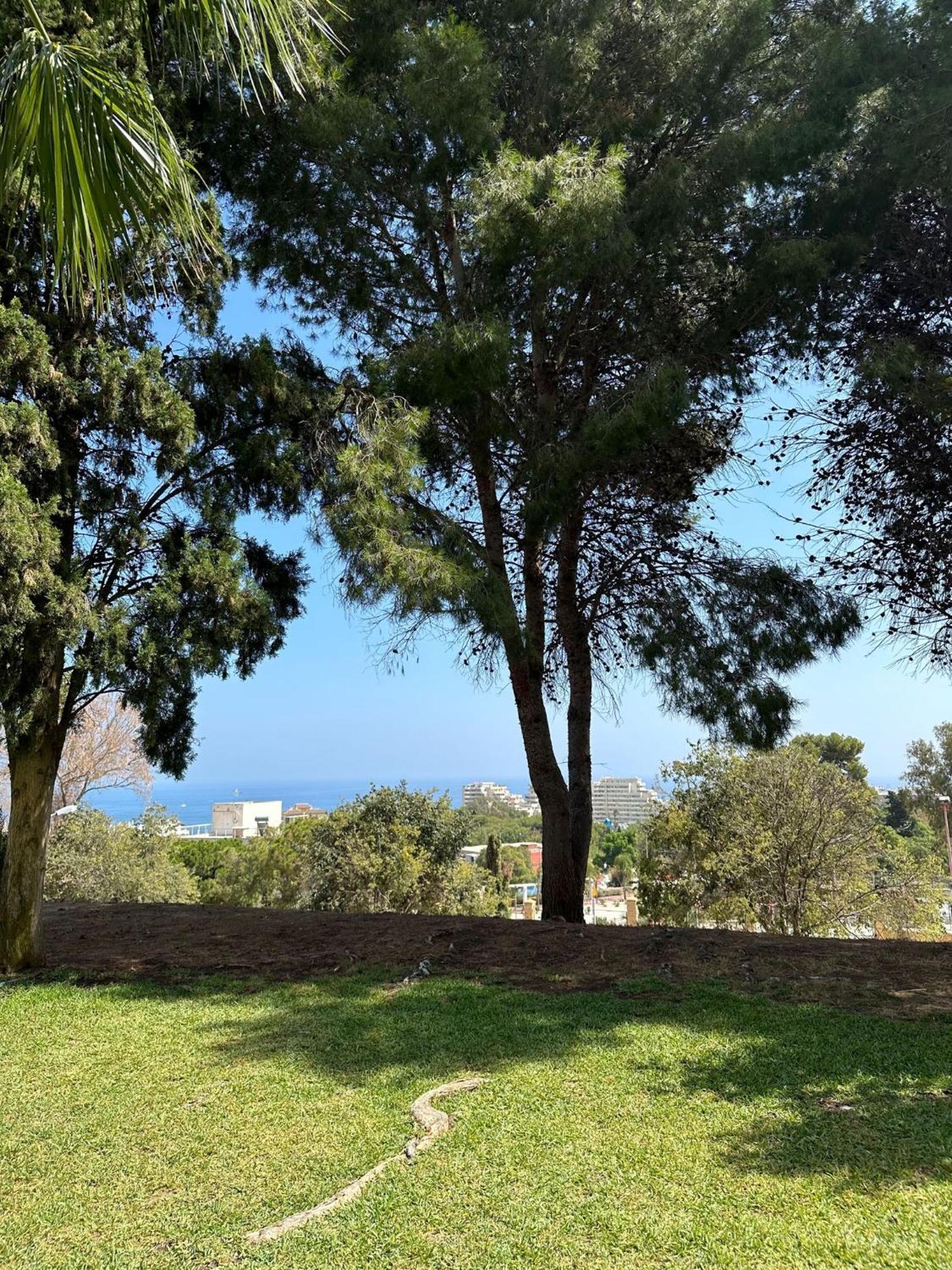 דירות מאלגה Benalmadena Gamonal מראה חיצוני תמונה