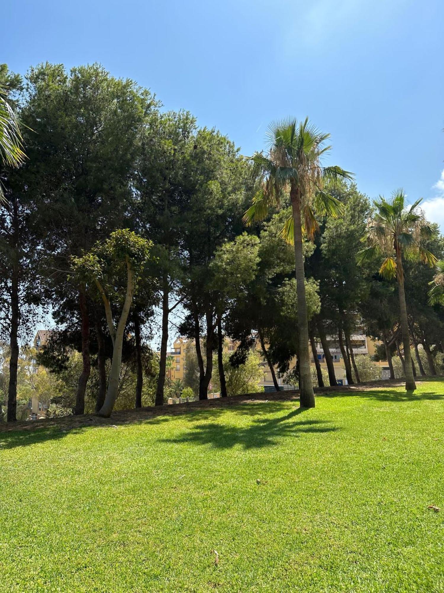 דירות מאלגה Benalmadena Gamonal מראה חיצוני תמונה